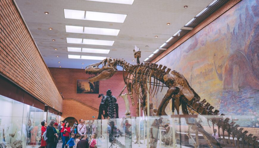 people standing near dinosaur skeleton